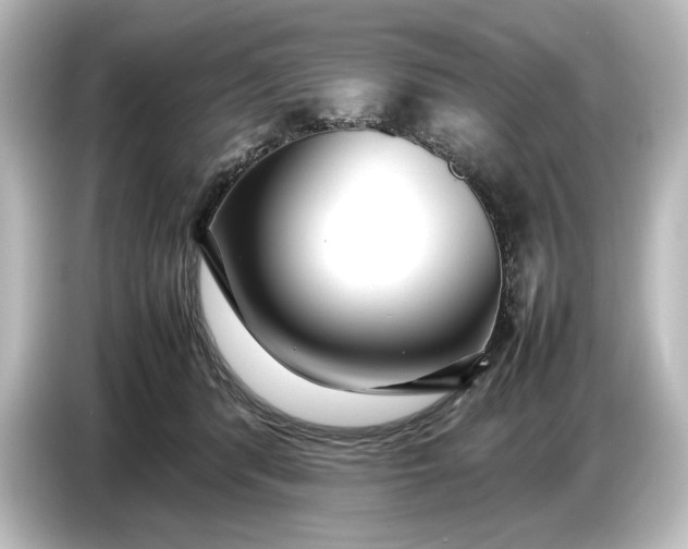 X0000087050416200705021200