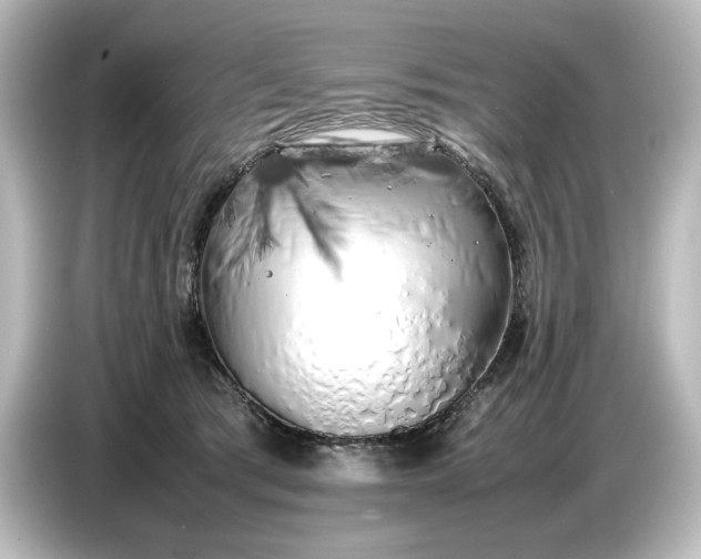 X0000087050417200705021200