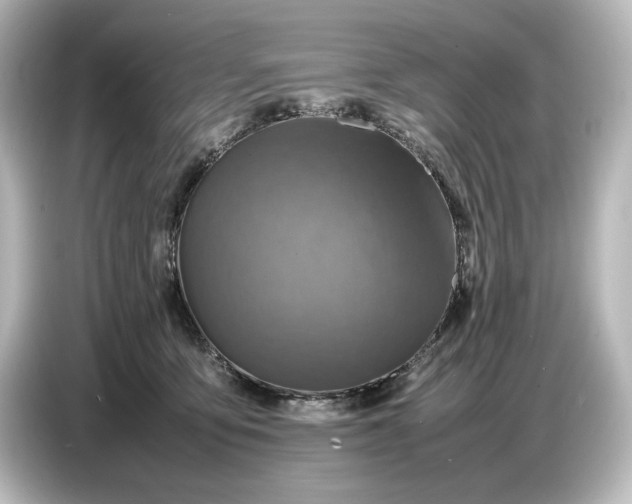 X0000087050419200705021200