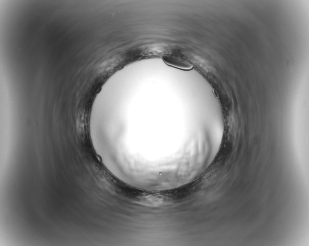 X0000087050423200705021200