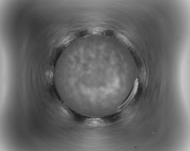 X0000087050427200705021200