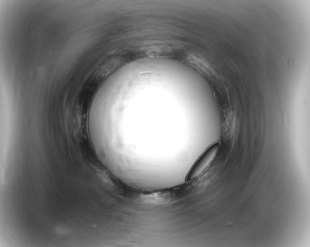 X0000087050430200705021200