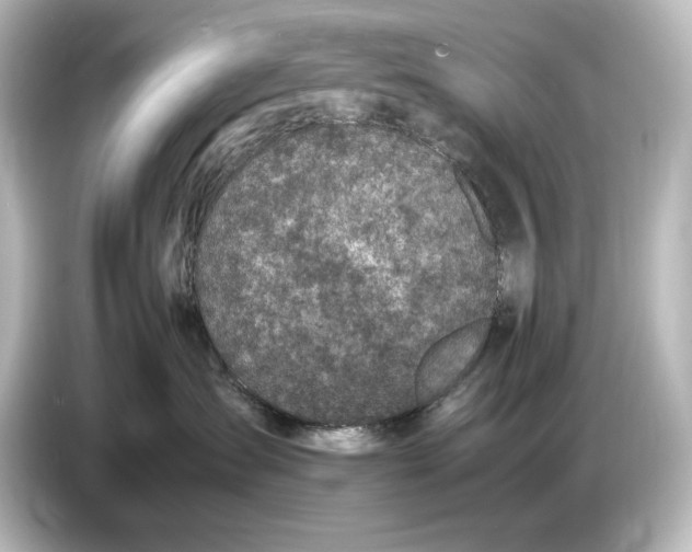 X0000087050431200705021200