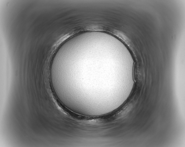 X0000087050433200705021159