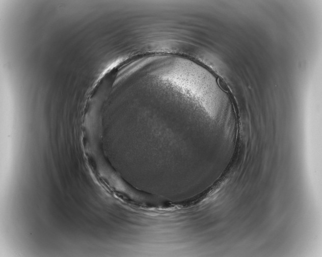 X0000087050434200705021159