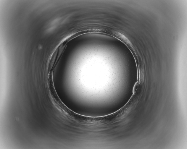 X0000087050435200705021159