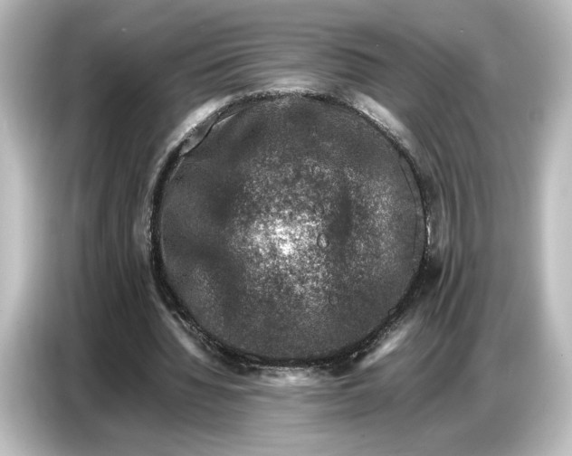 X0000087050436200705021159