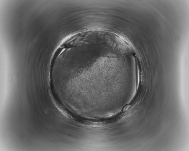 X0000087050438200705021159