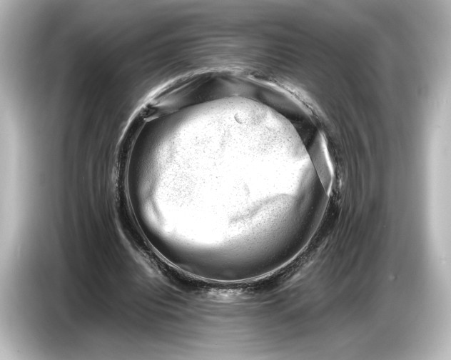 X0000087050440200705021159