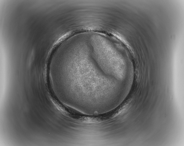 X0000087050442200705021200