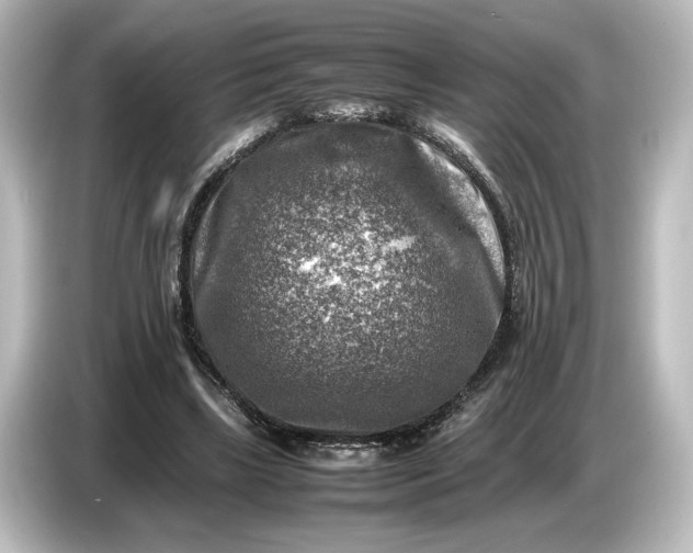 X0000087050443200705021200