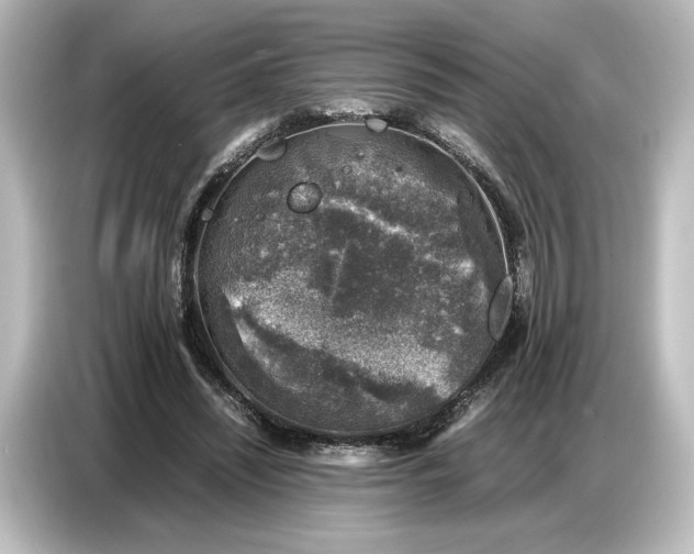 X0000087050444200705021200