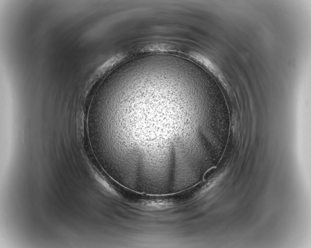 X0000087050445200705021200