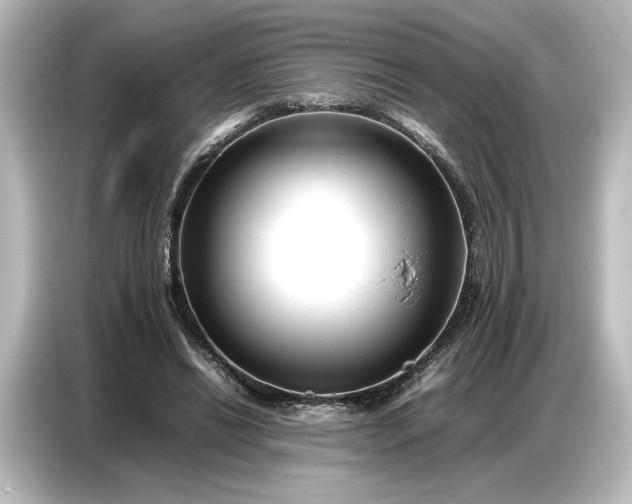 X0000087050446200705021200