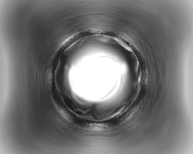 X0000087050448200705021200