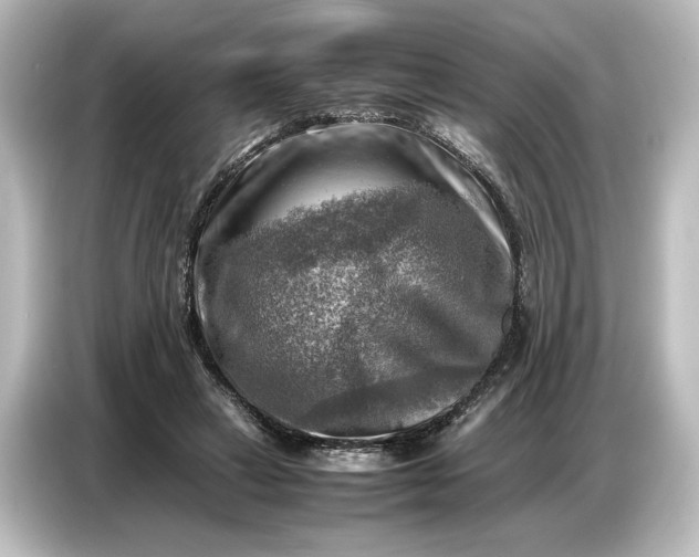 X0000087050449200705021200