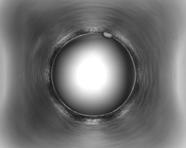 X0000087050450200705021200