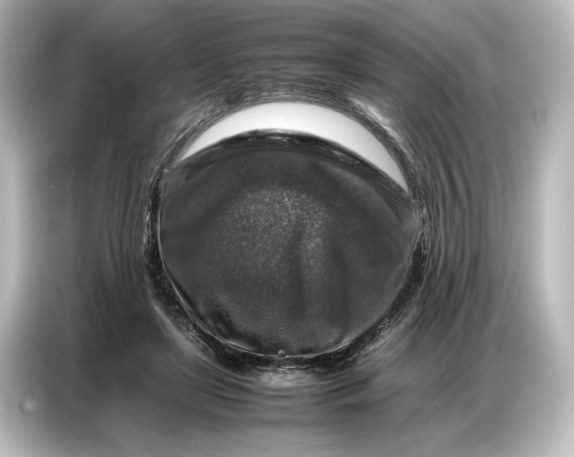 X0000087050451200705021200