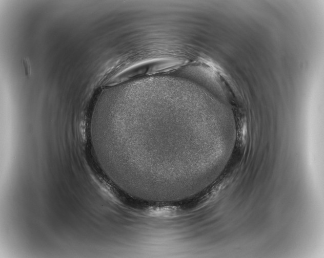 X0000087050452200705021200