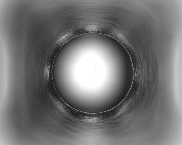 X0000087050454200705021200