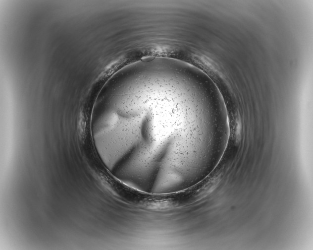 X0000087050456200705021200