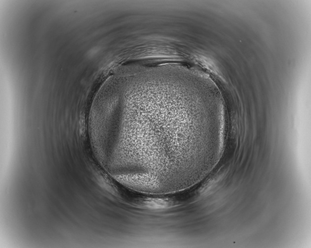 X0000087050457200705021200