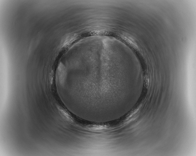 X0000087050458200705021200