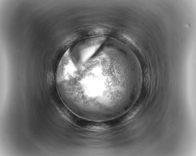 X0000087050459200705021200