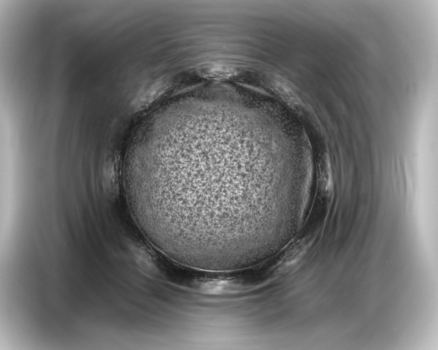 X0000087050460200705021200