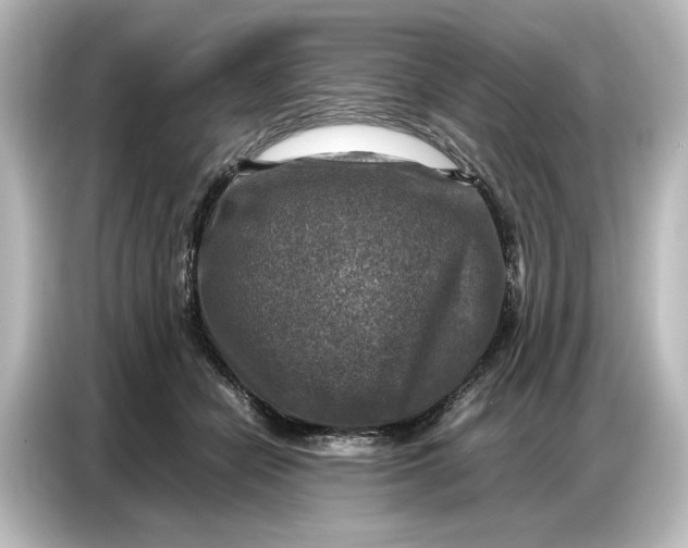 X0000087050462200705021200