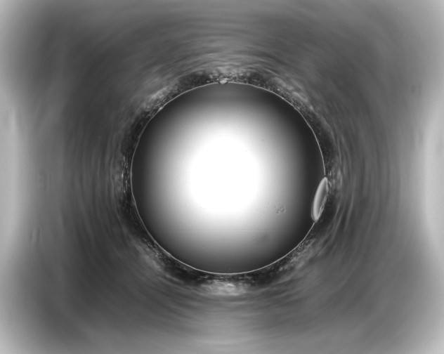 X0000087050464200705021200