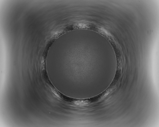 X0000087050465200705021200