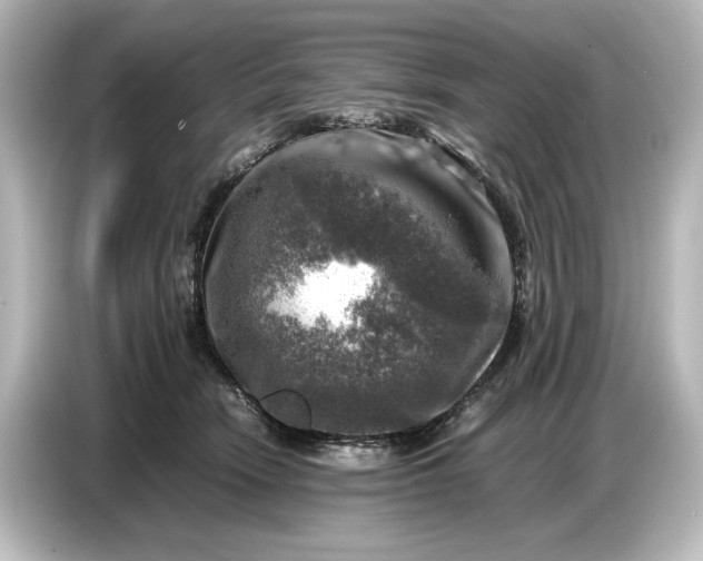 X0000087050466200705021200