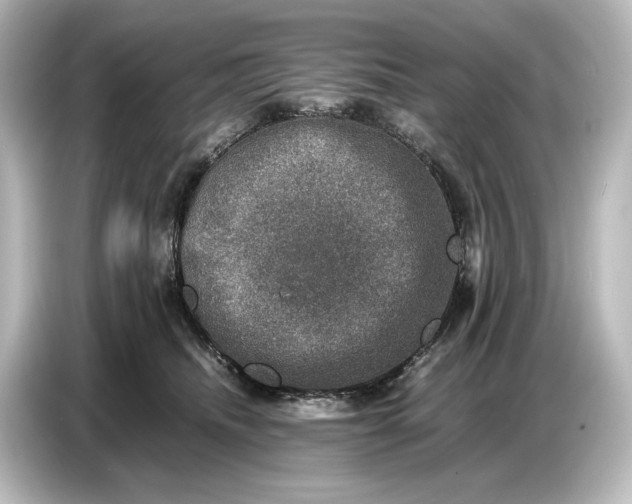 X0000087050468200705021200