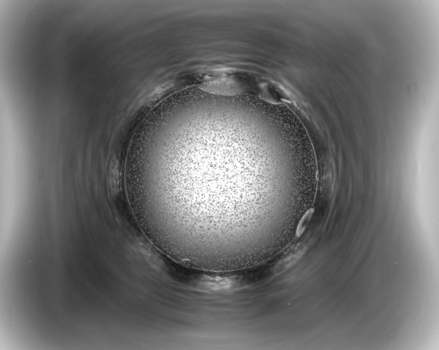 X0000087050469200705021200