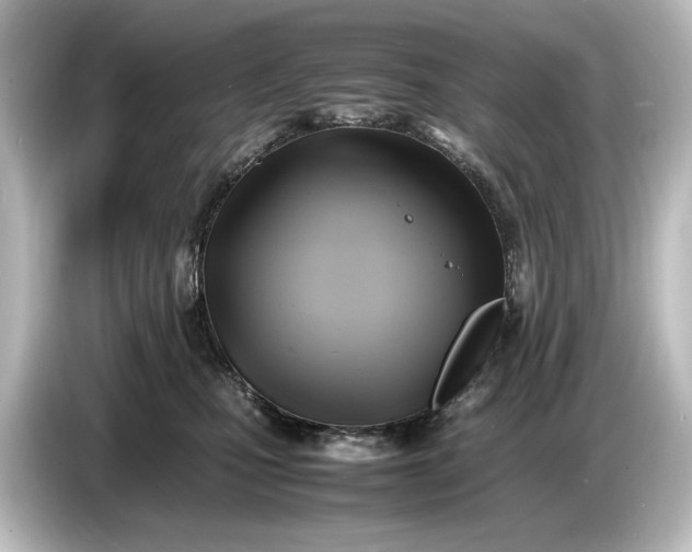 X0000087050471200705021200