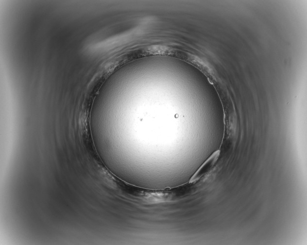 X0000087050473200705021200