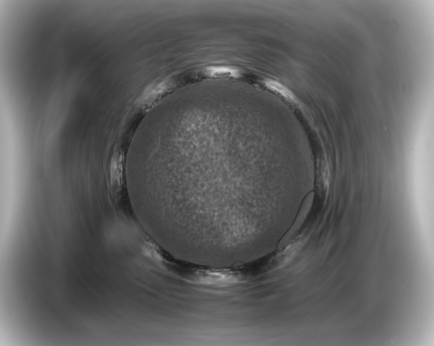 X0000087050475200705021200