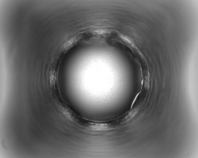 X0000087050476200705021200