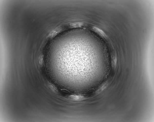 X0000087050477200705021200