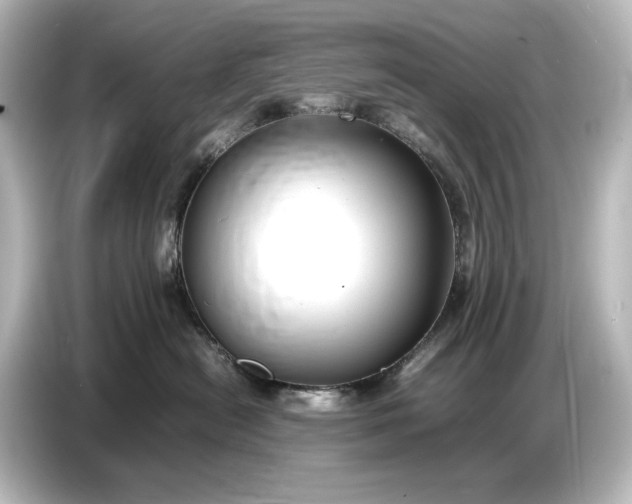 X0000087050478200705021200