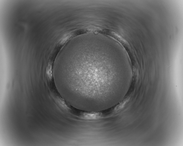 X0000087050479200705021200