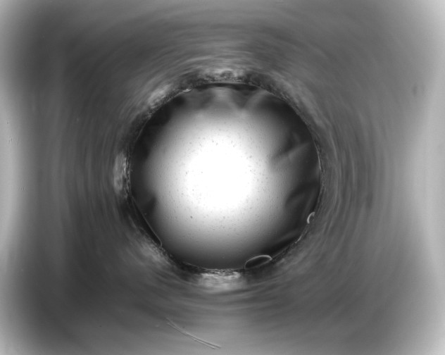 X0000087050480200705021200