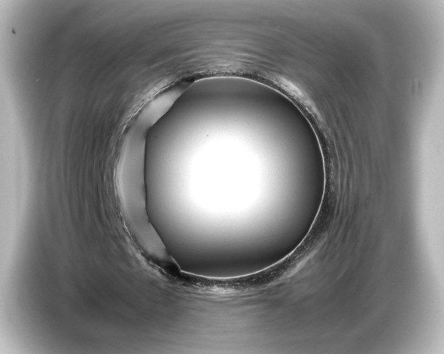 X0000087050481200705021159