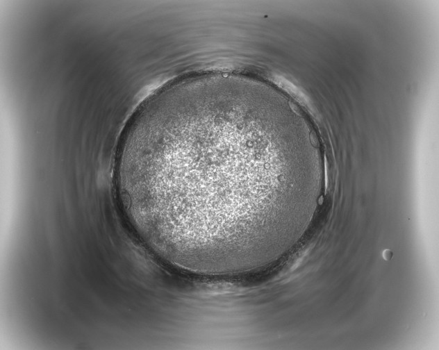 X0000087050483200705021159