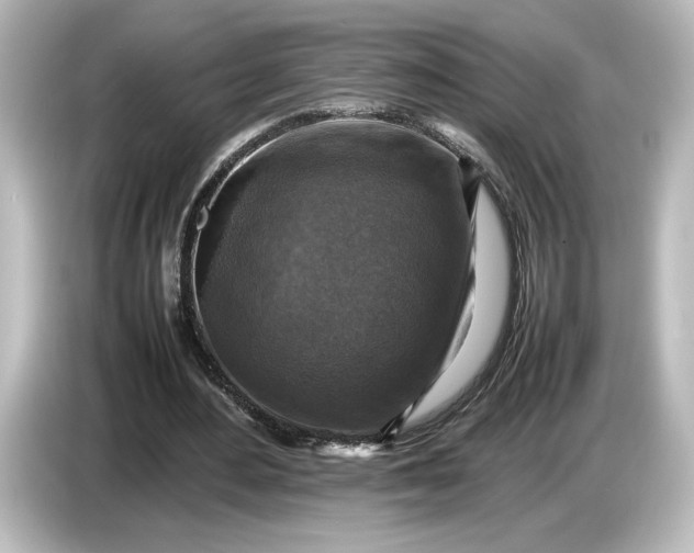 X0000087050484200705021159