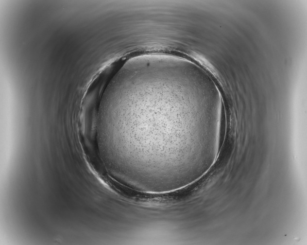 X0000087050485200705021159