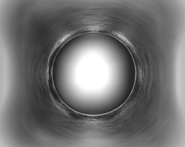 X0000087050486200705021159