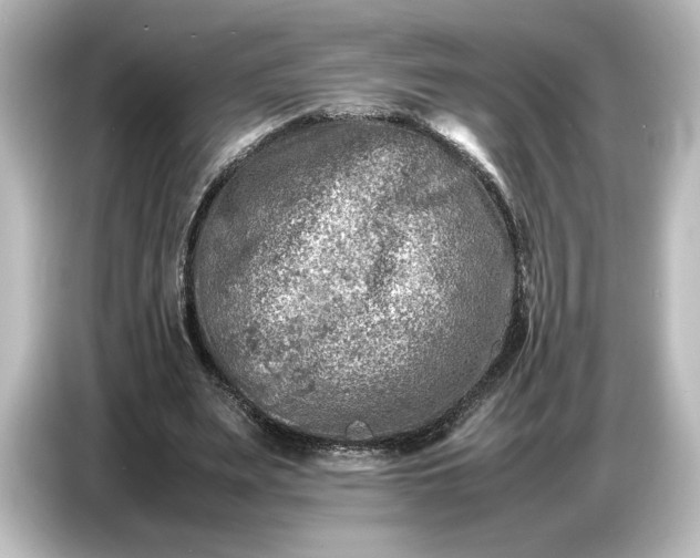 X0000087050487200705021159