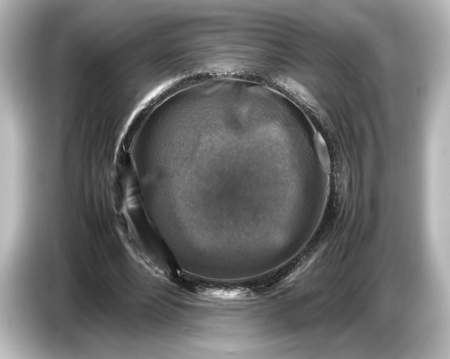 X0000087050488200705021159